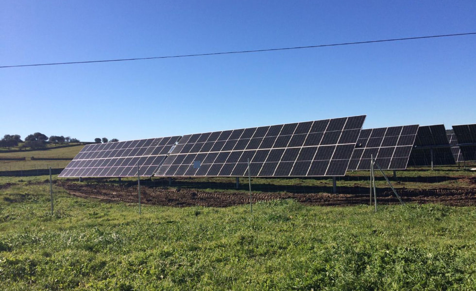 Você pode usar painéis solares em terras agrícolas?
