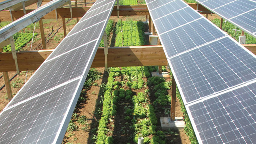 vantagens das usinas fotovoltaicas agrícolas
