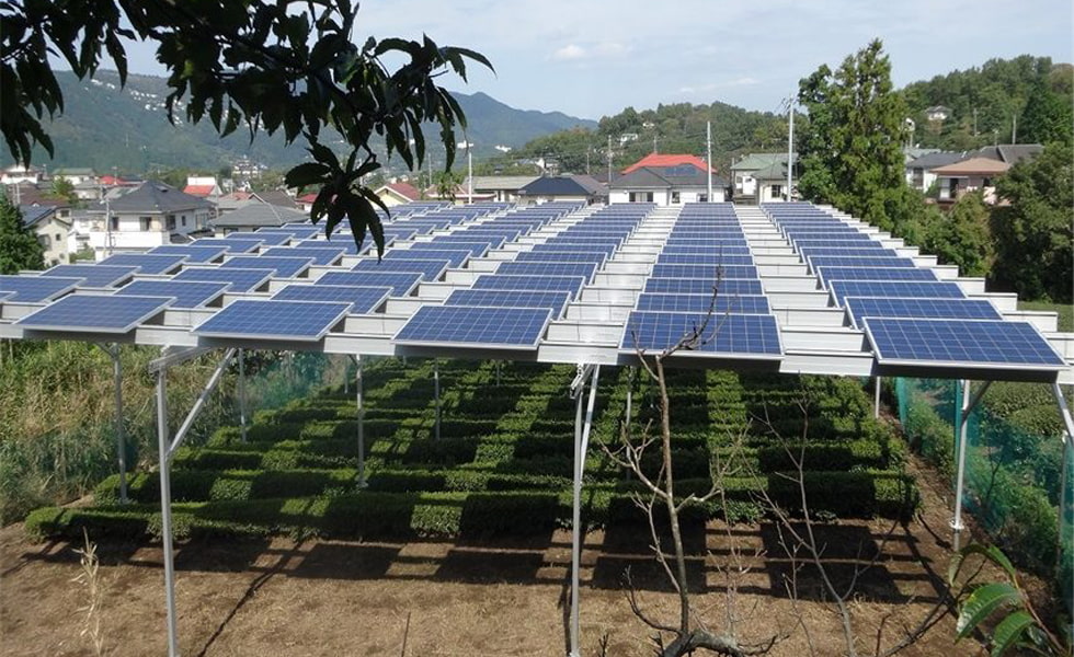 Como a energia solar pode ajudar os agricultores?
