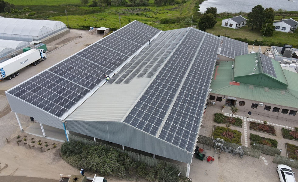 2 GW, quase 6 bilhões de yuans! Nova onda de projetos fotovoltaicos inicia construção